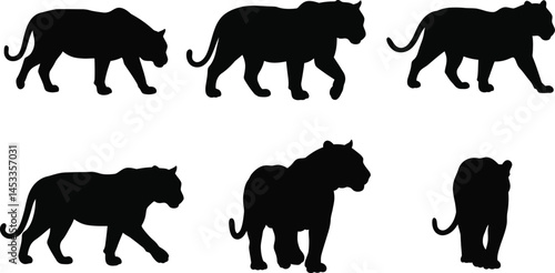 Black Panther Silhouettes in Various Walking and Standing Poses Vector Illustration 