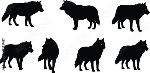 Wolf silhouette set in black showing different poses and angles for wildlife and nature design elements vector illustration 