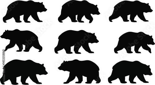 Bear silhouette vector set with multiple walking poses black animal shapes illustration 