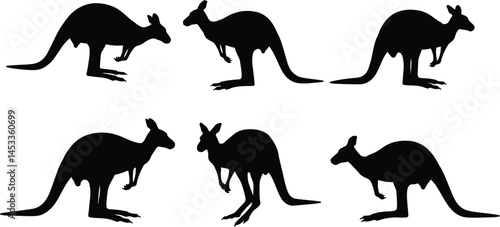Kangaroo silhouettes in various poses wildlife animal vector illustration design elements 