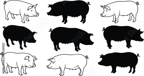 Pig silhouette and outline vector set showing multiple farm animal poses for graphic design and illustration purposes 
