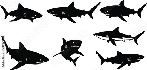 Shark silhouettes set with various swimming poses in black vector illustration marine animals ocean wildlife collection 