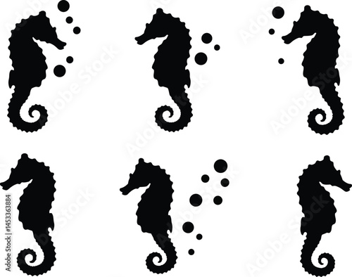Set of simple black seahorse silhouettes with bubbles in vector illustration design 