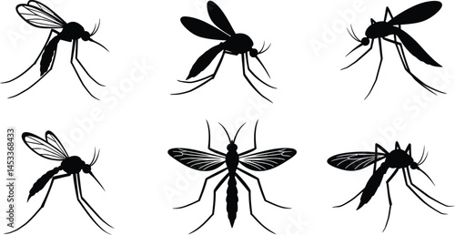 Mosquito silhouette vector collection showing different flying and resting positions in black on white background 
