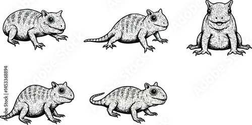 Detailed vintage style vector illustration of five small rodents in various poses naturalistic animal drawings 