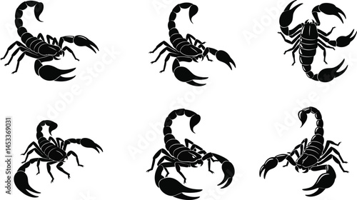 Scorpion vector set with six black detailed scorpion illustrations in various poses for design and decoration 