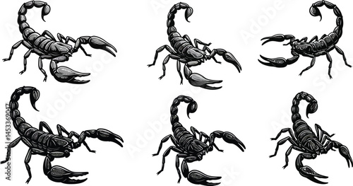 Scorpion vector illustration showing six detailed black scorpions in various poses and angles for graphic design and decoration 