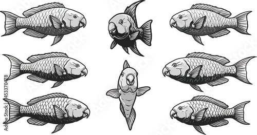 Vintage style vector illustration of seven detailed fish swimming in different directions with intricate scales and fins 