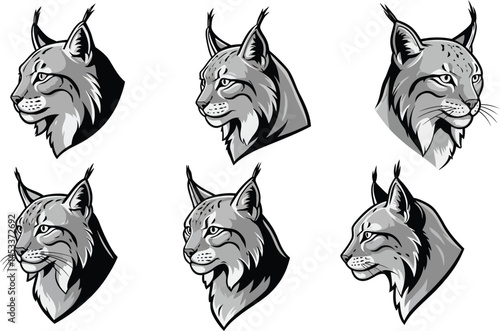 Lynx head illustrations with detailed fur and facial expressions in grayscale vector set for wildlife design and animal artwork collection 