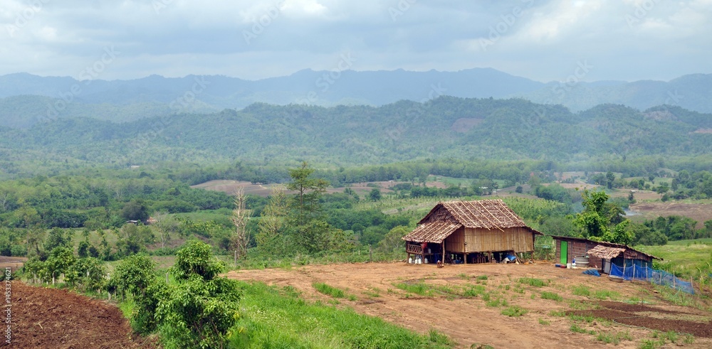 rural landscape with house
