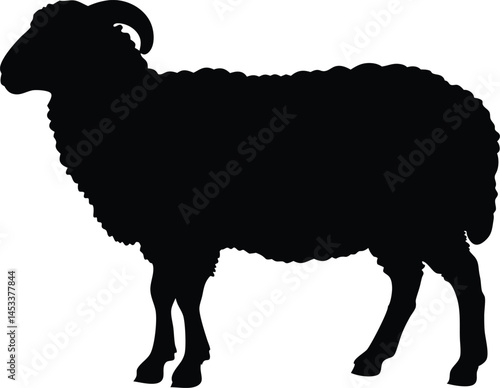 Sheep silhouette, Lamb standing silhouette, Sheep black icon vector