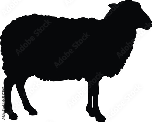 Sheep silhouette, Lamb standing silhouette, Sheep black icon vector