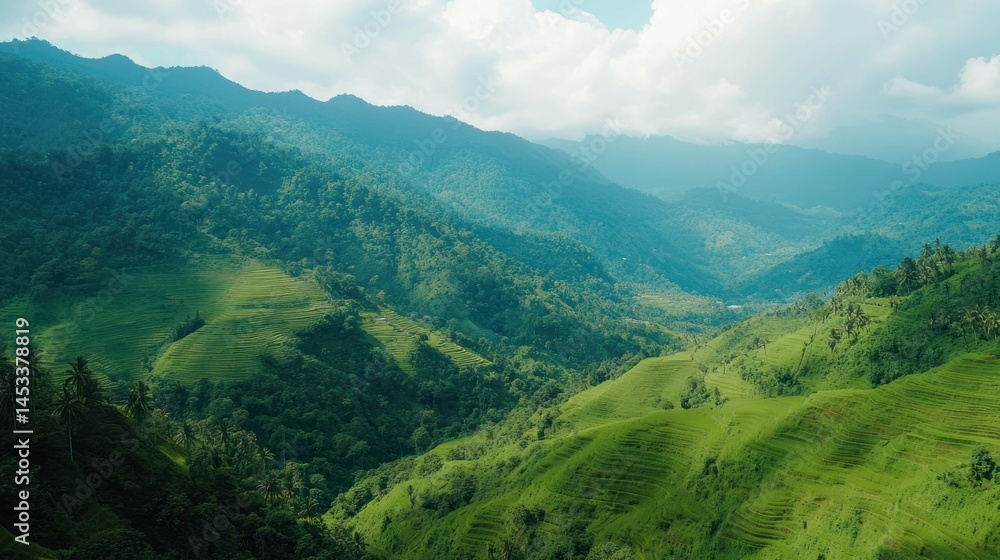 Obraz premium Lush green terraced landscape with mountains and forest, aerial shot.