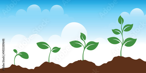 seedling plant growth in soil in the blue sky. seedling and root growth process