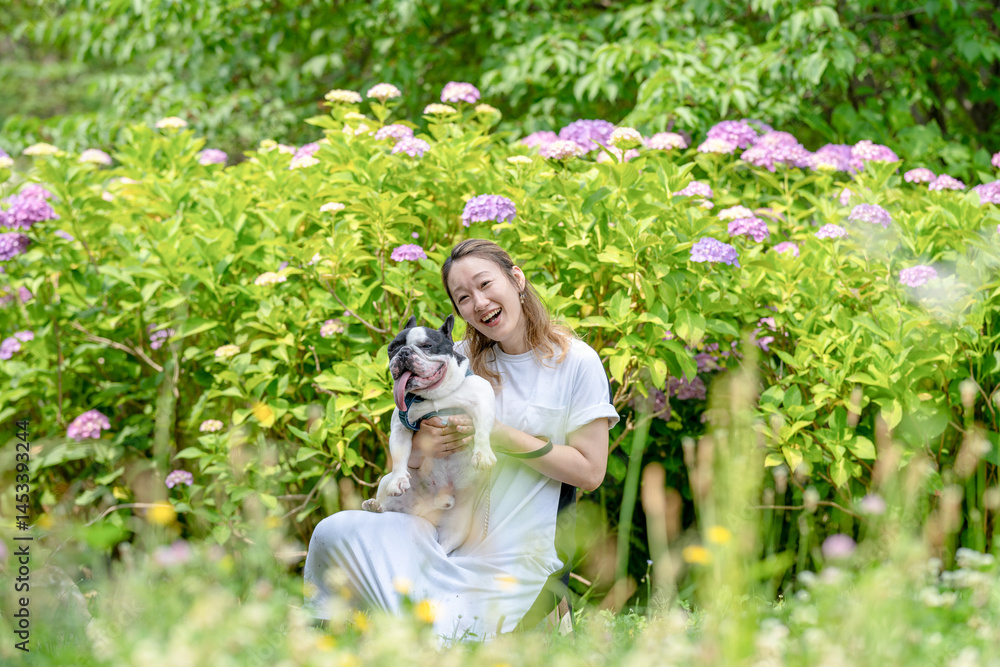 On a summer morning in a park with blooming hydrangeas, a Japanese woman in her 30s walks two French Bulldogs. She plays with them while seated, surrounded by flowers and calm early summer light.