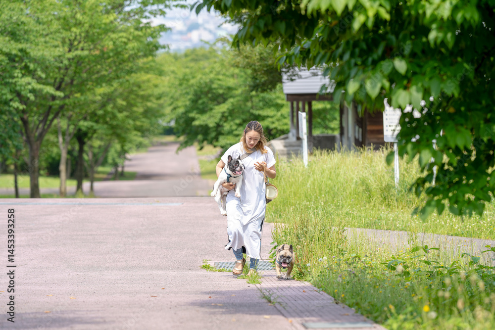 On a summer morning in a park with blooming hydrangeas, a Japanese woman in her 30s walks two French Bulldogs. Surrounded by flowers and trees, they stroll along quiet paths under soft morning light.