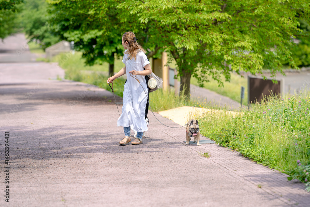 On a summer morning in a park with blooming hydrangeas, a Japanese woman in her 30s walks two French Bulldogs. Surrounded by flowers and trees, they stroll along quiet paths under soft morning light.