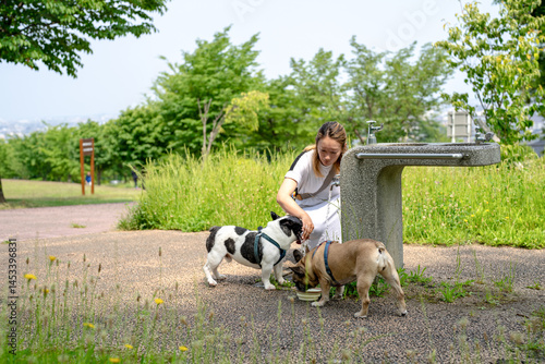 Obraz na płótnie On a summer morning in a park with blooming hydrangeas, a Japanese woman in her 30s walks two French Bulldogs. She gives them water, surrounded by flowers and trees in the quiet early summer light. w salonie