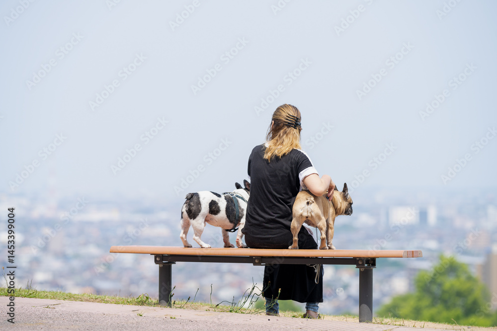 On a summer morning in a park with blooming hydrangeas, a Japanese woman in her 30s walks two French Bulldogs. They sit on a hilltop bench, overlooking the city, with flowers and greenery all around.