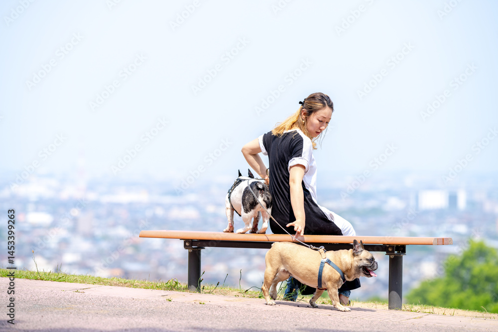 On a summer morning in a park with blooming hydrangeas, a Japanese woman in her 30s walks two French Bulldogs. They sit on a hilltop bench, overlooking the city, with flowers and greenery all around.