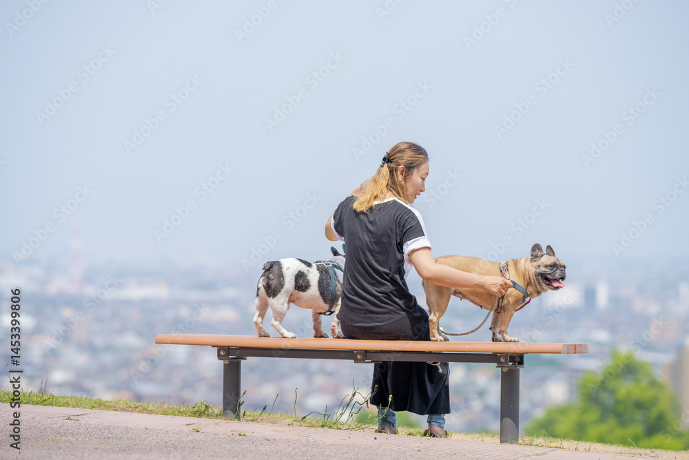 On a summer morning in a park with blooming hydrangeas, a Japanese woman in her 30s walks two French Bulldogs. They sit on a hilltop bench, overlooking the city, with flowers and greenery all around.