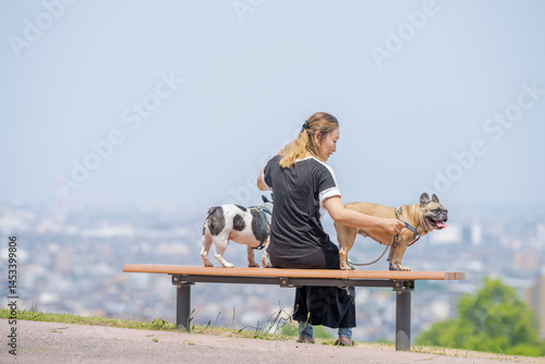Obraz na płótnie On a summer morning in a park with blooming hydrangeas, a Japanese woman in her 30s walks two French Bulldogs. They sit on a hilltop bench, overlooking the city, with flowers and greenery all around. w salonie