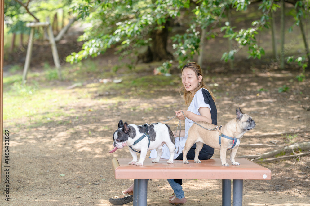 On a summer morning in a park with blooming hydrangeas, a Japanese woman in her 30s walks two French Bulldogs. Sitting on a bench, they share a moment, surrounded by flowers and early summer greenery
