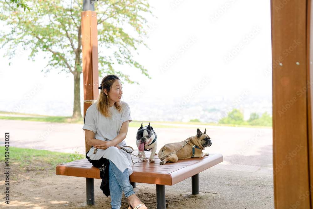 On a summer morning in a park with blooming hydrangeas, a Japanese woman in her 30s walks two French Bulldogs. Sitting on a bench, they share a moment, surrounded by flowers and early summer greenery