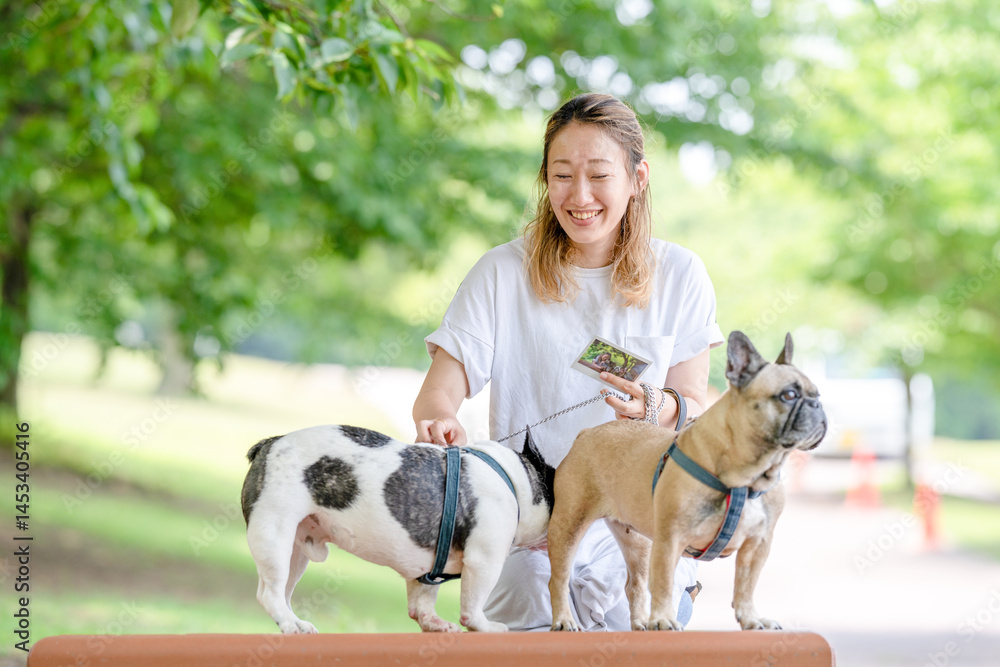 On a summer morning in a park with blooming hydrangeas, a Japanese woman in her 30s walks two French Bulldogs. Sitting on a bench, they share a moment, surrounded by flowers and early summer greenery