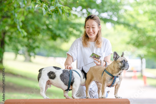 Obraz na płótnie On a summer morning in a park with blooming hydrangeas, a Japanese woman in her 30s walks two French Bulldogs. Sitting on a bench, they share a moment, surrounded by flowers and early summer greenery w salonie