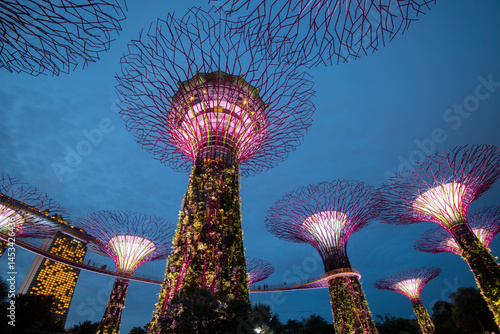 Garden by the bay in Singaporre