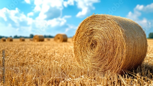 Golden hay bales in a field under a partly cloudy sky