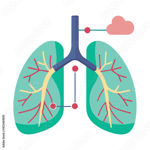 Abstract artistic lungs display pulmonary concept with stylized airway and alveoli with transparent background