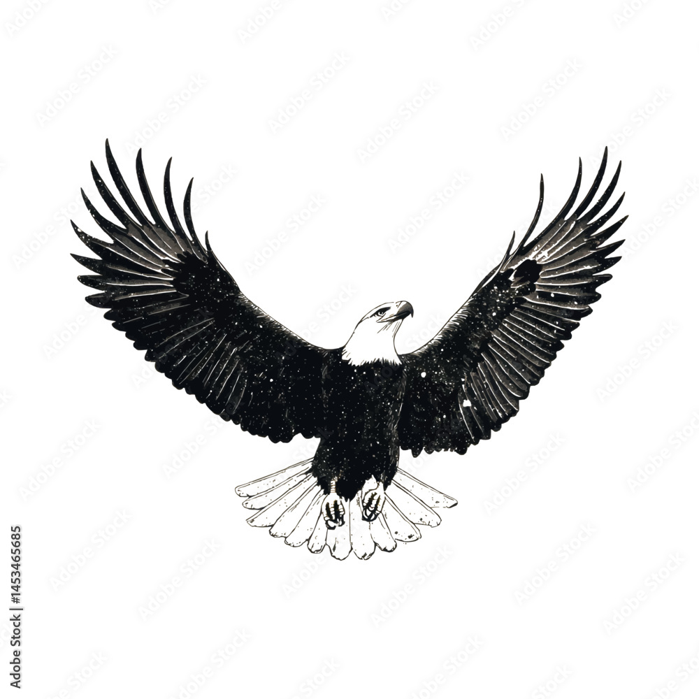 Obraz premium Bald Eagle Drawing Vector White Background,Generative Ai