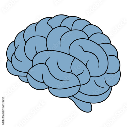 Cartoon brain in light blue, detailed outline and structure, over a transparent background