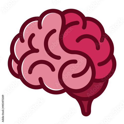 Cerebral hemispheres are depicted in pink and red with distinct outlines on transparent background