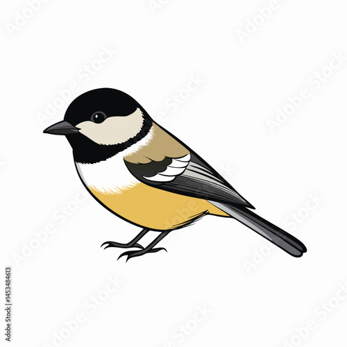 great tit parus major
