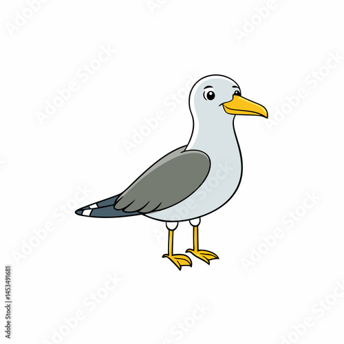  gull white background
