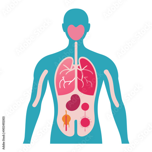 Simplified turquoise human body shows heart, lungs, kidney, and other internal organs