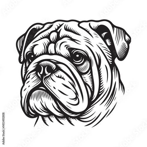 Line art of bulldog face logo vector