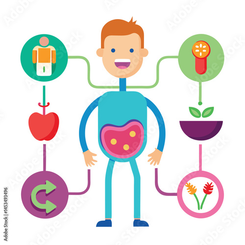 Smiling cartoon figure shows the process of digestion and the connected metabolic system