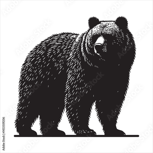 Silhouette vector of a bear standing on white background
