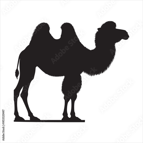 Silhouette vector of a camel standing on a white background