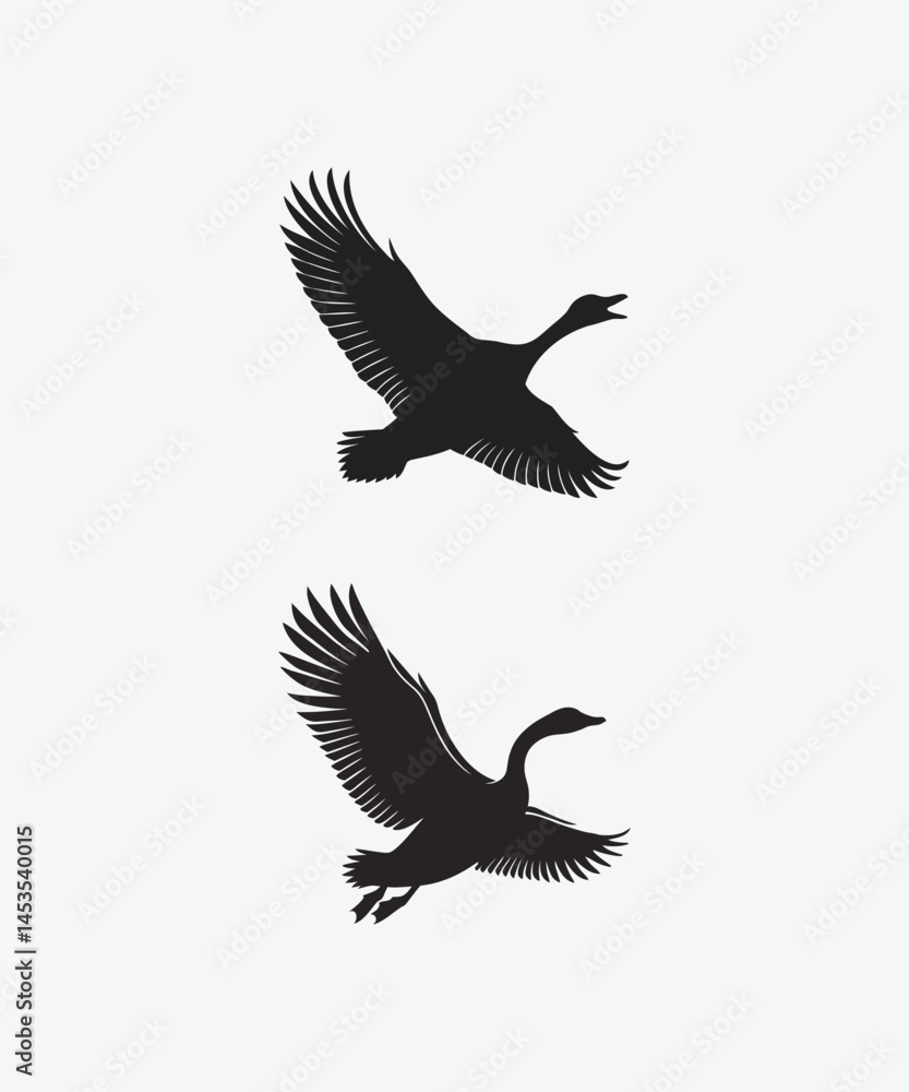 Obraz premium flying birds silhouette isolated