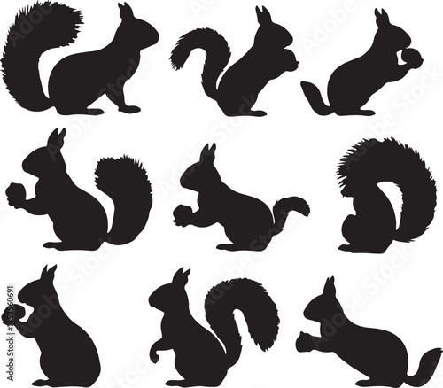 Squirrel Silhouette Vector: Set of 9 Black and White Squirrel Illustrations in Various Poses, Wildlife Animal Graphics for Design Projects