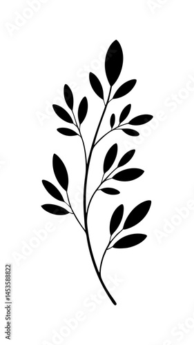 vector silhouette of leafy botanical branch  illustration