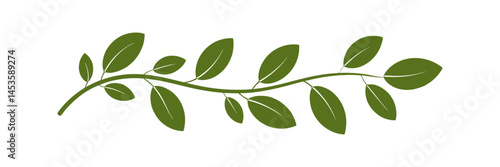 Green Botanical Leaf Vine Divider. Nature Plant Branch Clipart Vector Art