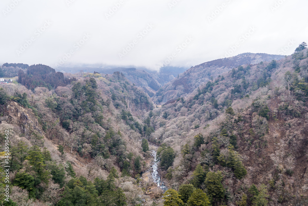 Fototapeta premium 大分県の巨大な吊り橋から見る雄大な自然