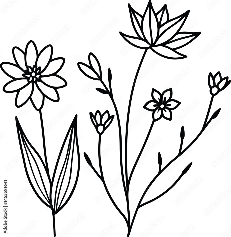 Obraz premium Flowers line art silhouette on white background
