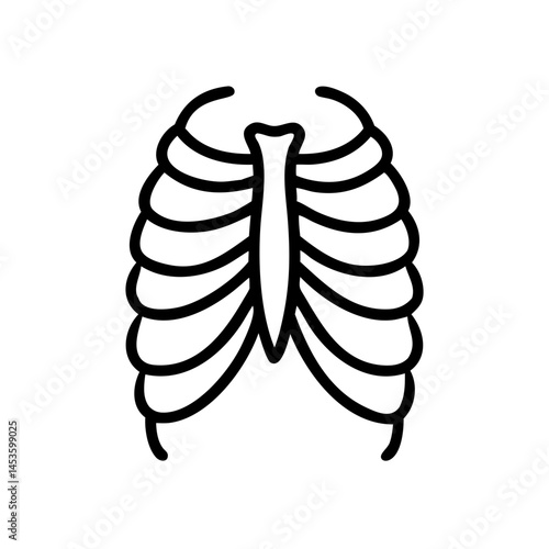 ribs